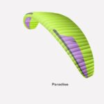 paradise bi skin 2 P